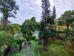 Nassim Regency (D10), Condominium #457118981